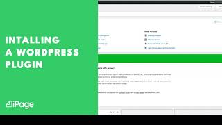 Installing a WordPress Plugin Installing a WordPress Plugin