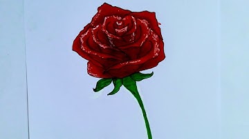 Beautiful Red Rose Drawing Tutorial | How to draw Easy Step-by-Step Rose Sketch for Beginners