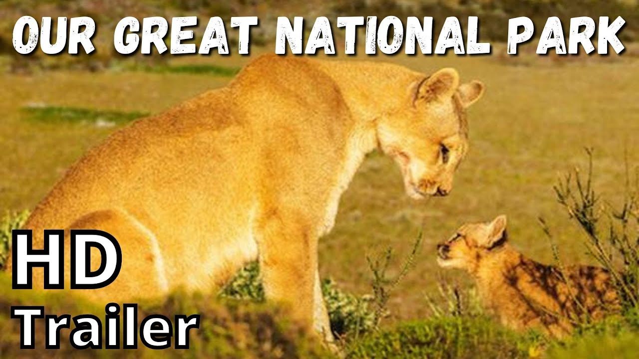 OUR GREAT NATIONAL PARK season 1 2022 new trailer YouTube