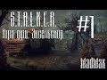 STALKER. Игра Душ: Эксельсиор. Часть 1 - В рядах Наёмников