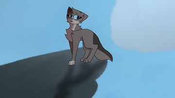 《RUN WILD》《Open Summer-themed Warriors OC MAP》