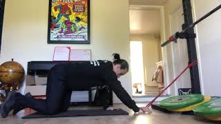 Quadruped Lat Pulldown