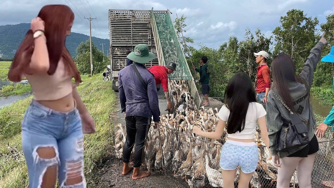 Daily Duck Routine — Herding Back to the Farm, Feeding, River Bathing & Fresh Water  
