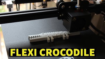 3D printing a flexi crocodile (timelapse)