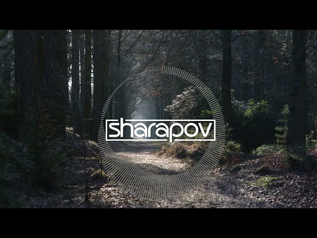 Sharapov - Shadows