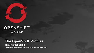 Celebrity The OpenShift Profiles:  Markus Eisele Net Worth