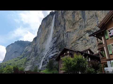 Видео: Альпийн үүрний үр ашиг юу вэ?
