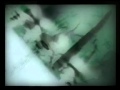 Dadub - Ilya [Stroboscopic Artefacts]