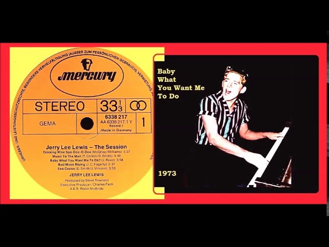 Jerry Lee Lewis - Baby What You Want Me To Do 'Vinyl'