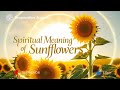 Spiritual Meaning of Sunflowers | Light, Faith & Hidden Symbolism