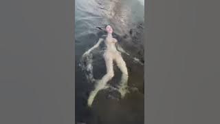 [TIKTOK]Renang telanjang