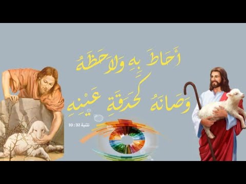 كبسولات روحية 29 وسط الدوشة مينا ناجح