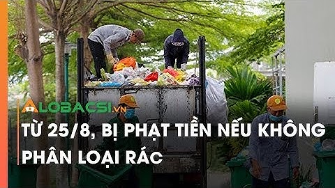 Từ 25/8, bị phạt tiền nếu không phân loại rác