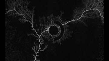 Steam Deck Startup - The Last of Us Part I