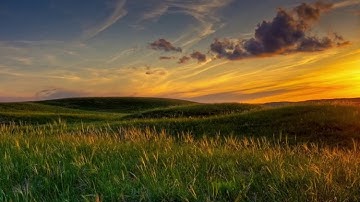 القارئ ماهر المعيقلي - "ويصنع الفلك وكلما مر عليه ملأ من قومه سخروا منه"