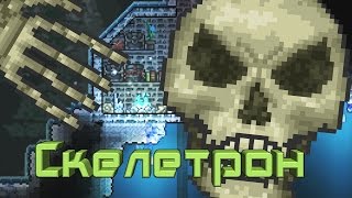 Terraria Как призвать Скелетрона (Skeletron)