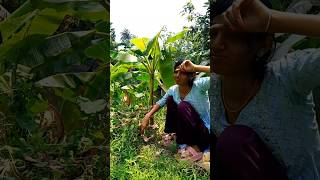 uff কি কষ্ট। #newreel #funny #comedy #funnygirl #comedyshorts #trees #reelscomedy  #trendingshorts