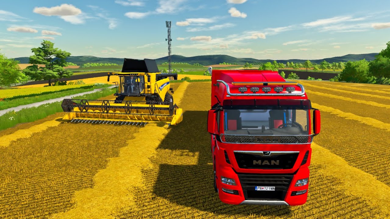 FS22 CANOLA AND OATS HARVESTING CARAPATHIAM FARM YouTube