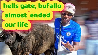 First  time in hells gate and First time  encountered  with dangerous  bufallo  face to face