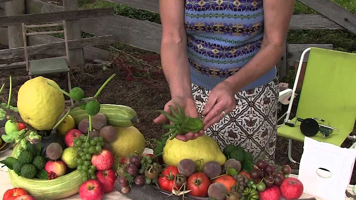 Susan Purdy's Fruit Museum