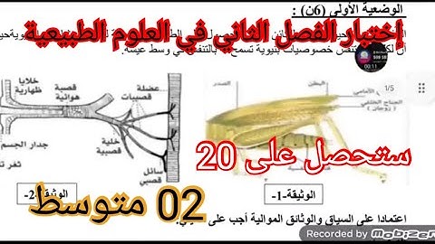إختبار الفصل الثاني في العلوم الطبيعية السنة الثانية متوسط 2025