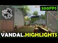 Champion 2023 Vandal Highlights - Valorant Hindi
