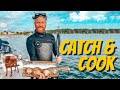 Scallop diving - CATCH & COOK on south coast of England (Sailing Cadoha) S3 Ep19