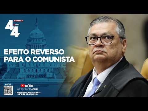 Ana Paula Henkel: "With a parallel TSE, Dino becomes a campaign manager for Flávio's campaign"