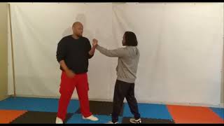 Bruce Lee's Jeet Kune Do Backfist Is A Wing Chun Move Watch!! | Hampton Hong Shogun M.a