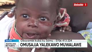 Download Lagu Ttuntu Jajja ow'emyaka 75 alaajana waliwo eyazaala mumuwalawe abalongo n'amuddukako ate yetalina bus MP3 Download Lagu Ttuntu Jajja ow'emyaka 75 alaajana waliwo eyazaala mumuwalawe abalongo n'amuddukako ate yetalina bus MP3