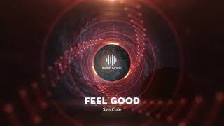 Syn Cole – Feel Good | 2 HOUR VERSION | NCS Release | NoCopyrightSound | Best of NCS