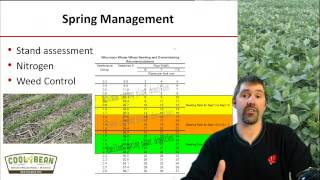 Wheat and small grain growth, development and management