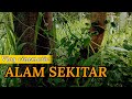 Cinematic alam sekitar