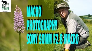 Macro Photography with the Sony 90mm F2.8 Macro Lens