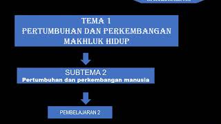 Kelas 3 T1 ST2 Pb2 (video pembelajaran)