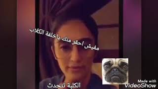 ”كلبة كويتية\