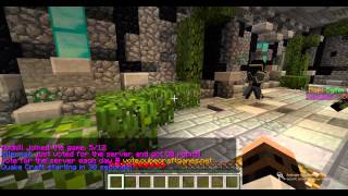 Minecraft  - SPAWN KILLING