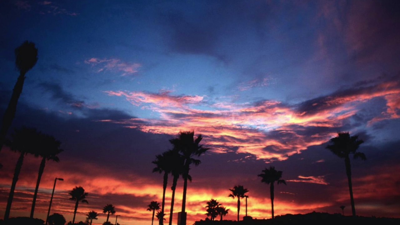 Tropical Jam (Original Song)