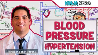 Cardiovascular | Blood Pressure Regulation | Hypertension