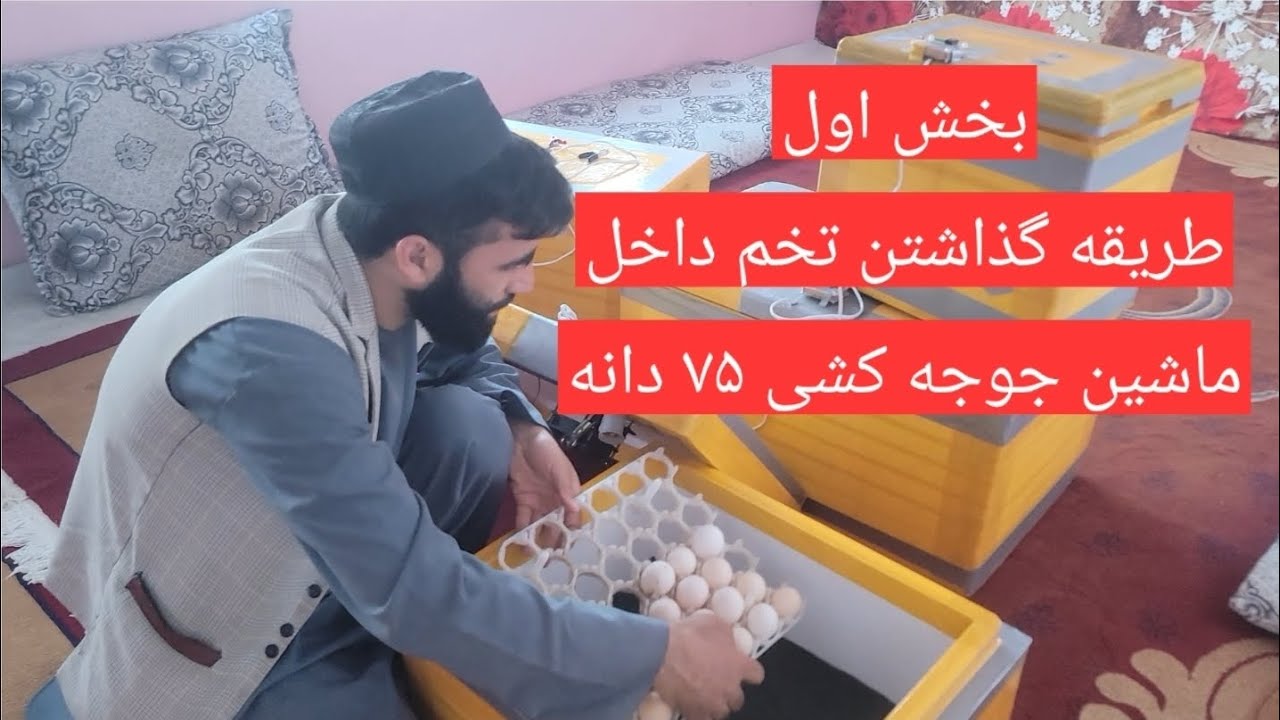 طریقه گذاشتن تخم داخل ماشین جوجه کشی ۷۵ دانه ای بخش اول منتظر ویدیوهای بعدی باشید۰۷۸۹۷۵۷۵۰۱واتس آپ