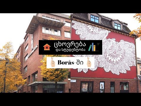 სტუდენტობა შვედეთში | ნაწილი 2 | როგორ ვცხოვრობდი Borås-ში
