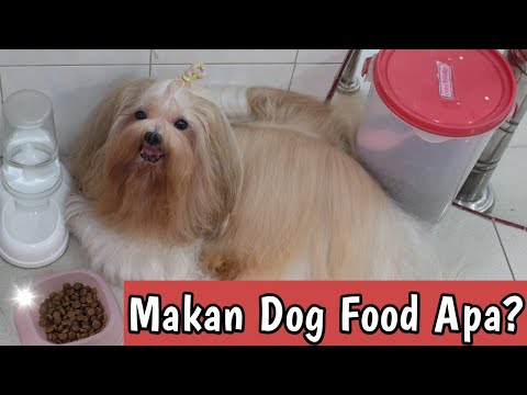 Video: SuperZoo 2017 je vklopljen - in kopičemo P.L.A.Y. Adorbs platnene vrečke