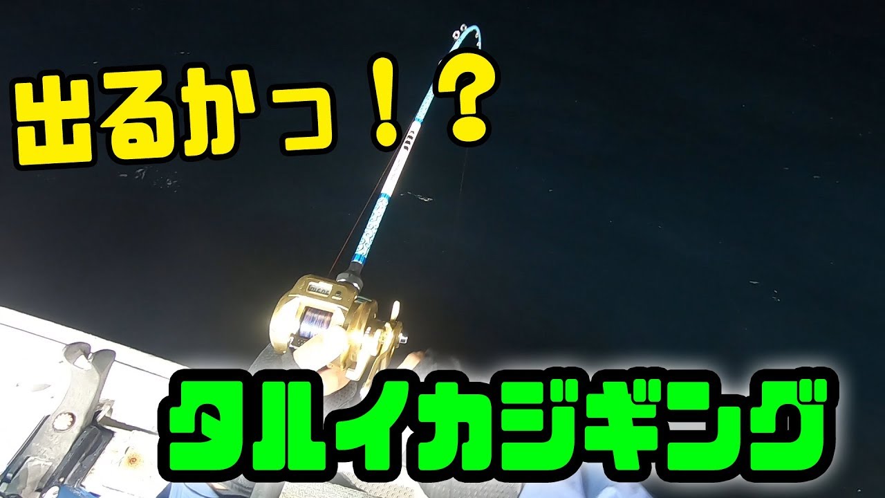 出るか タルイカジギングに挑戦 Squid Jigging Youtube