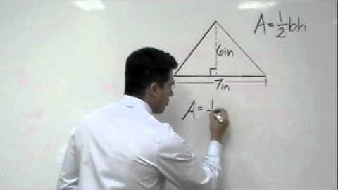Area of a Triangle (Tutor Zone)