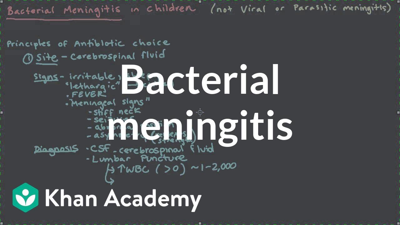 Bacterial meningitis | Miscellaneous | Heatlh & Medicine | Khan Academy