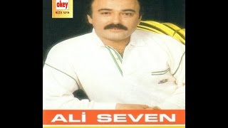 Ali Seven - Sordunmu Resimi