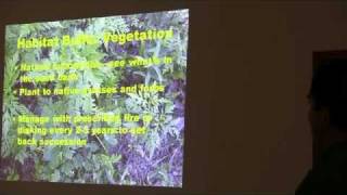 Managing Non-forested Land for Wild Turkey / Full length Managing Pines For Wild Turkey Full Length