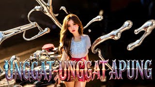 UNGGAT-UNGGAT APUNG HARD FUNKOT BY DJ ALIENDYA NEW 2026