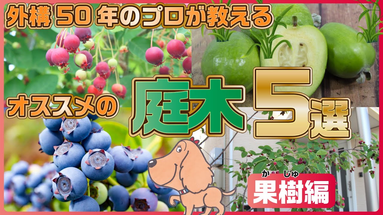 プロがオススメする庭木5選 果樹編 Youtube