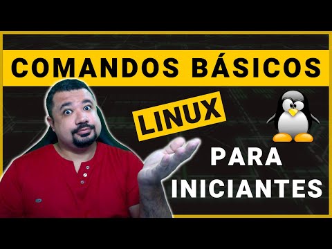 Comandos Básicos do
